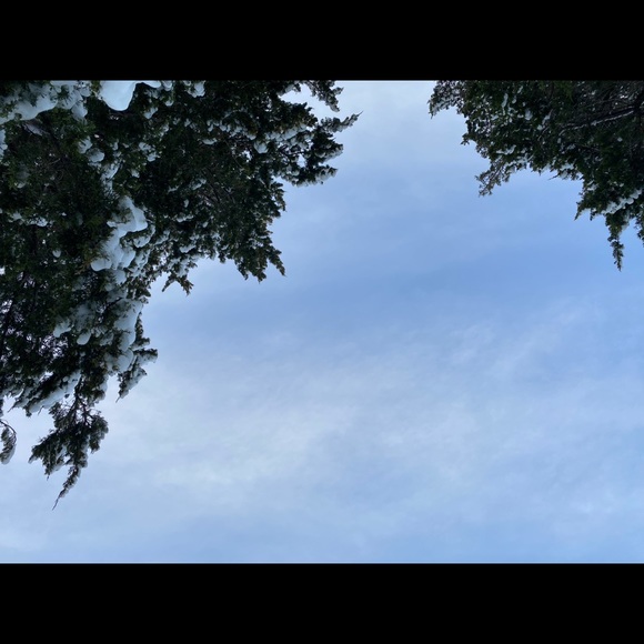 Meet your Posher, Olivia - Picture 1 of 1